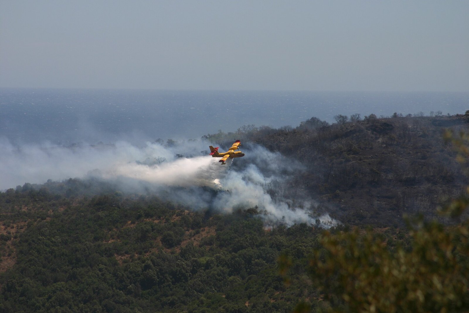Wildfires Spread Across France and Spain as Europe’s Heat Emergency Deepens supporting editorial view