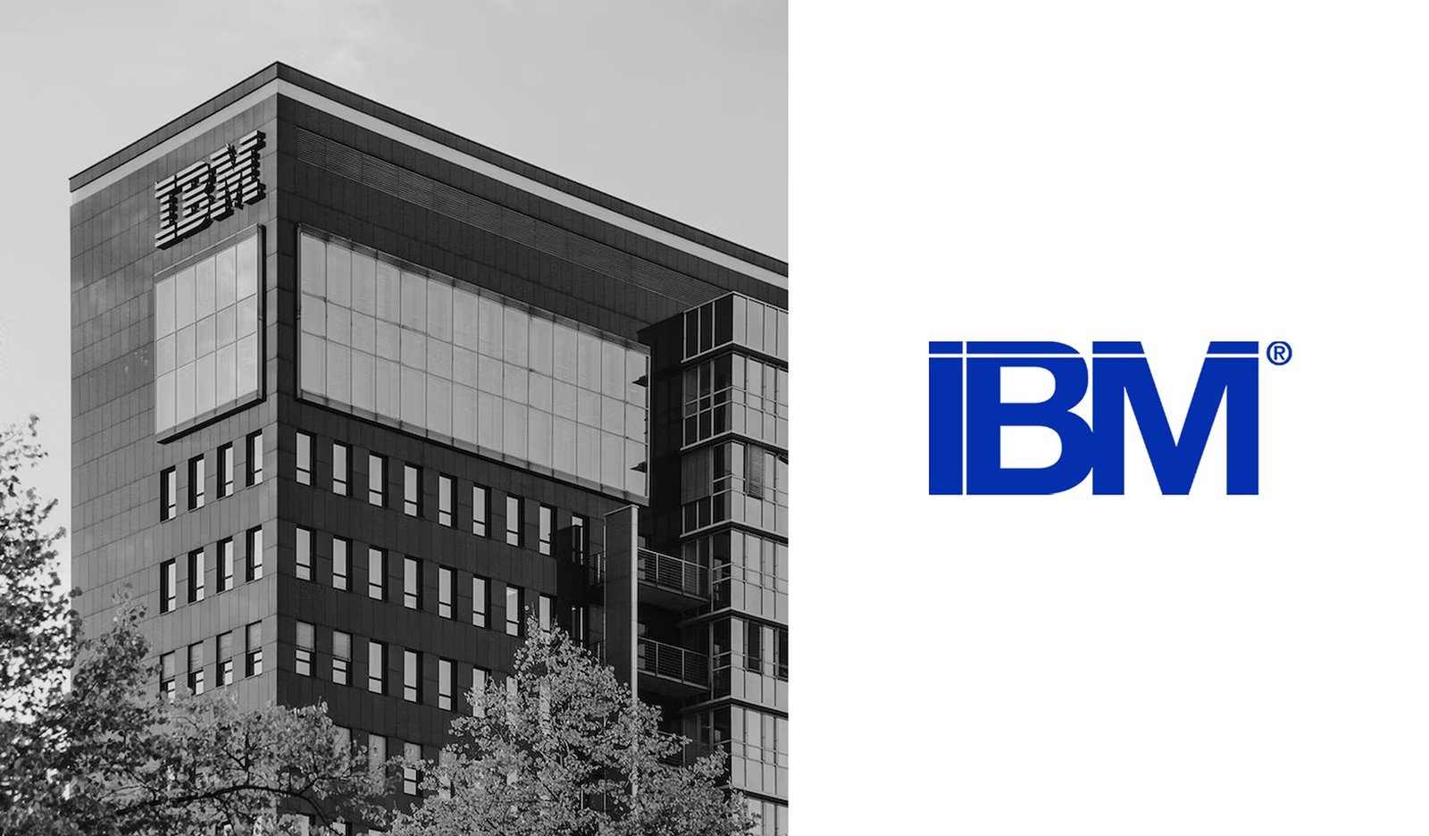 Supporting visual context for IBM’s 25% Plunge Is a Warning About Who Pays for the AI Boom