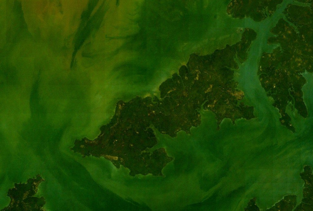 A Tide-Fueled Trove of Biodiversity Is Visible From Space