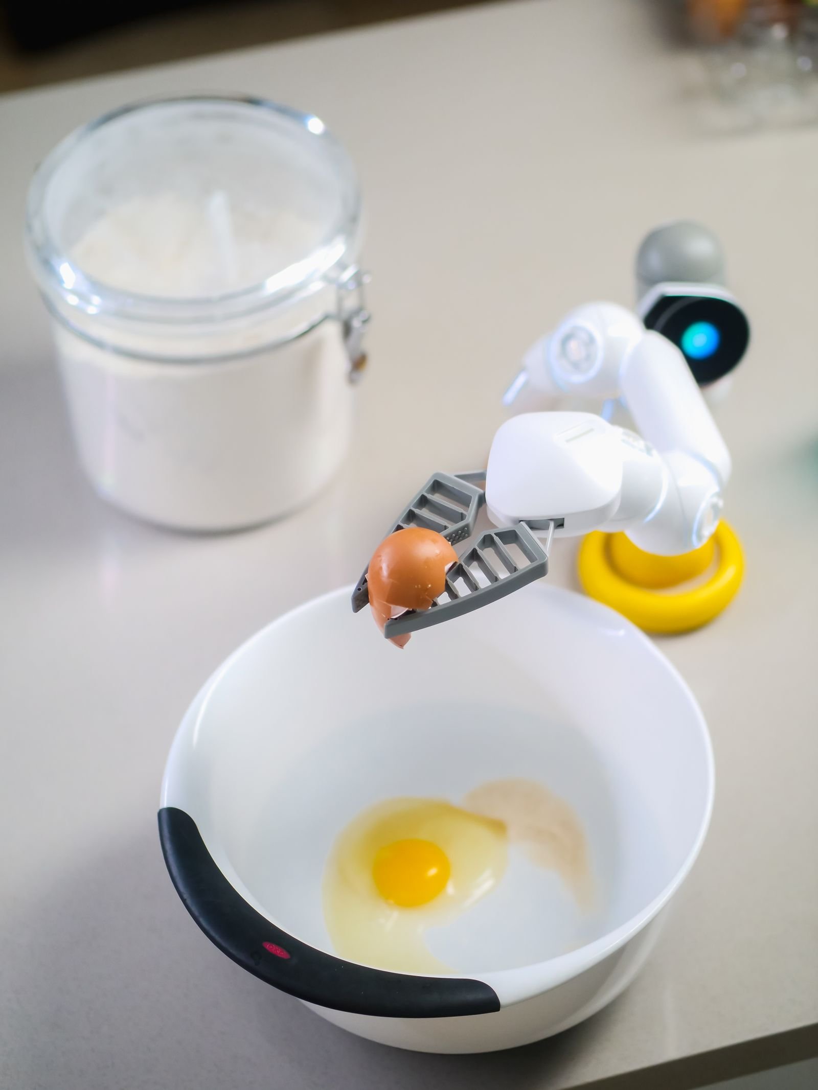 Home Robots Are Getting Smarter—but Not Yet Simple — supporting view