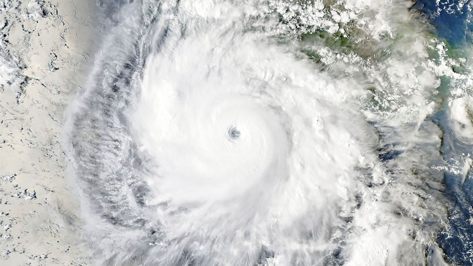Hurricane Polo’s Rapid Rise Offers a Warning From Warm Seas